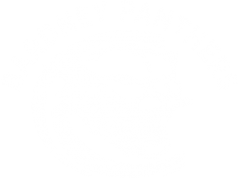 Bardney Panthers badge